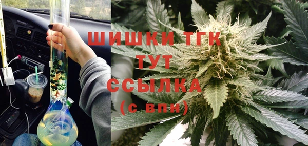 шишки Фёдоровский