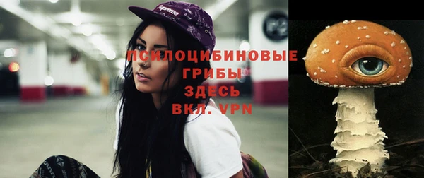 шишки Фёдоровский