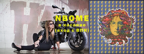 шишки Фёдоровский