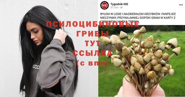 шишки Фёдоровский