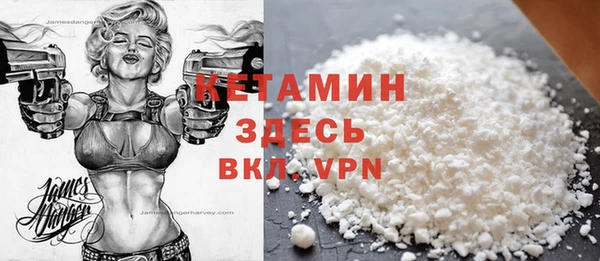 шишки Фёдоровский
