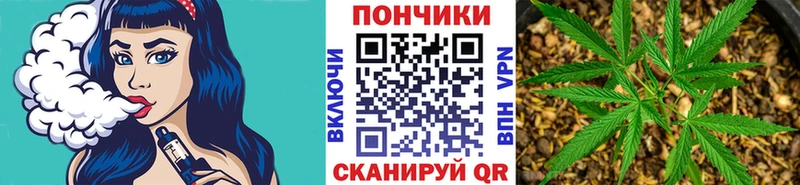 Марихуана MAZAR  купить наркоту  гидра онион  Абаза 